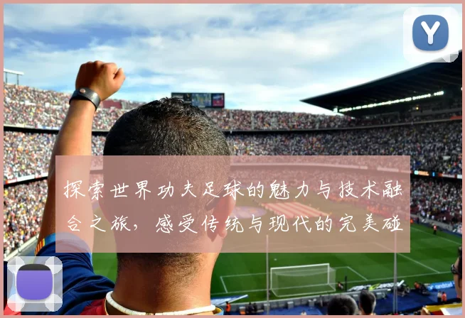 探索世界功夫足球的魅力与技术融合之旅，感受传统与现代的完美碰撞