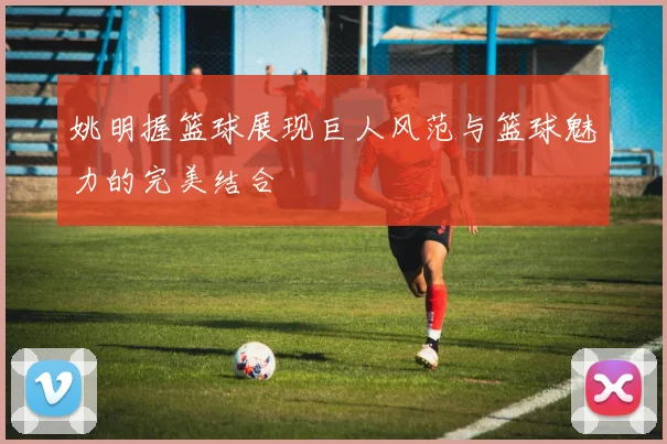 姚明握篮球展现巨人风范与篮球魅力的完美结合