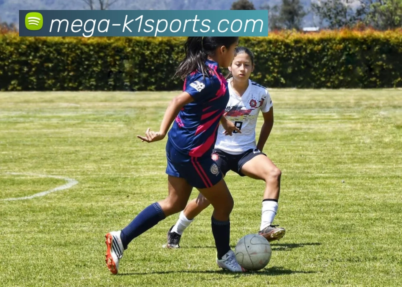 K1体育品牌故事